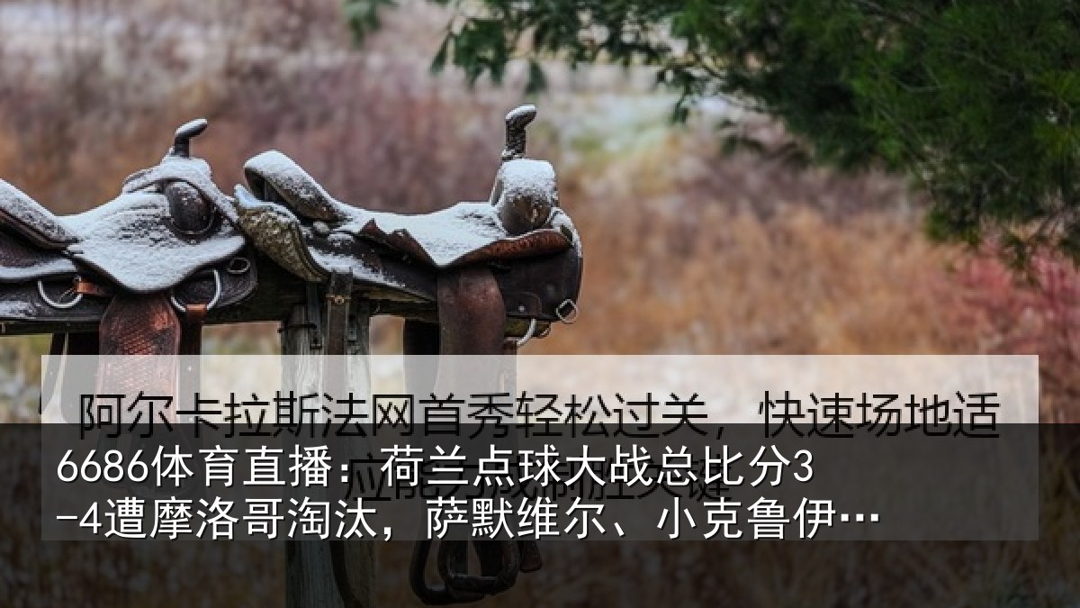 6686体育直播：荷兰相关情况摩洛相关情况克鲁伊维特丢点